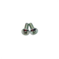 BSA Points Cover Plate Screw Set (Pair)