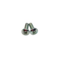 BSA Points Cover Plate Screw Set (Pair)
